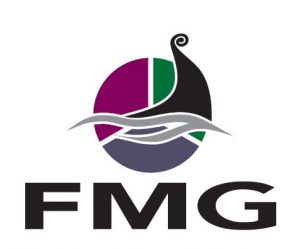 Group Structure – FMG
